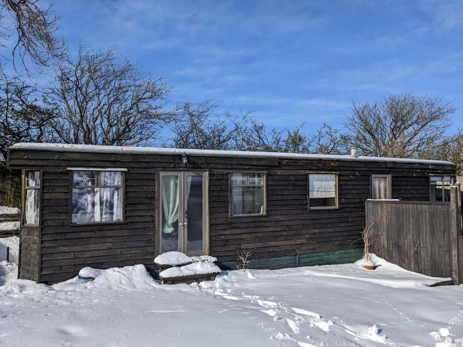 Ferny Roost Cabin. Ρέξαμ Εξωτερικό φωτογραφία