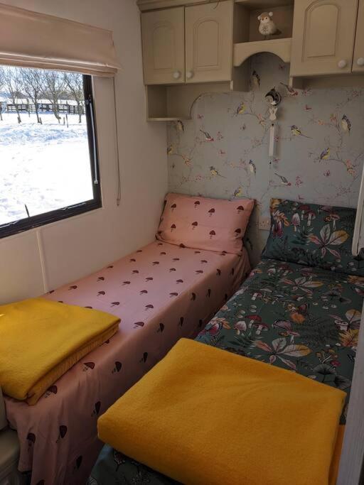 Ferny Roost Cabin. Ρέξαμ Εξωτερικό φωτογραφία