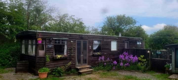 Ferny Roost Cabin. Ρέξαμ Εξωτερικό φωτογραφία